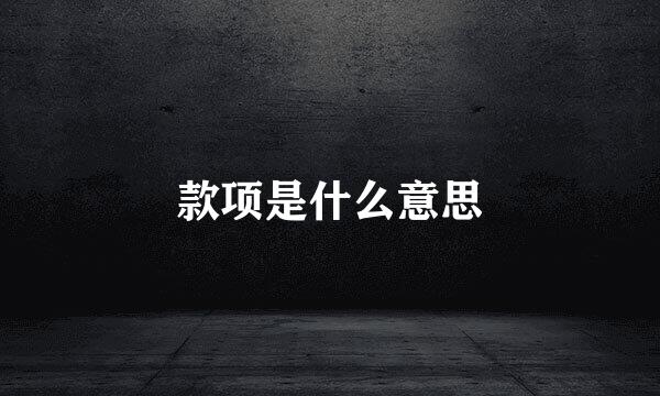 款项是什么意思