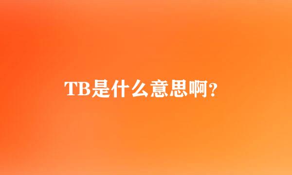 TB是什么意思啊？