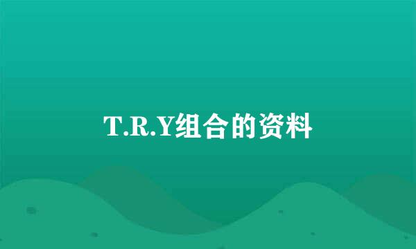 T.R.Y组合的资料