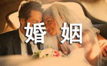 《婚姻治疗的九个步骤：情绪取向的婚姻治疗》