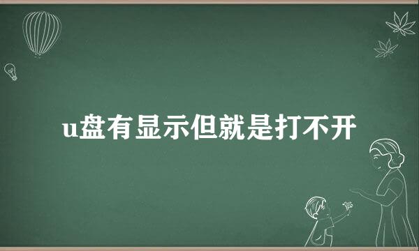 u盘有显示但就是打不开