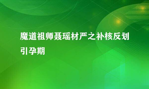 魔道祖师聂瑶材严之补核反划引孕期