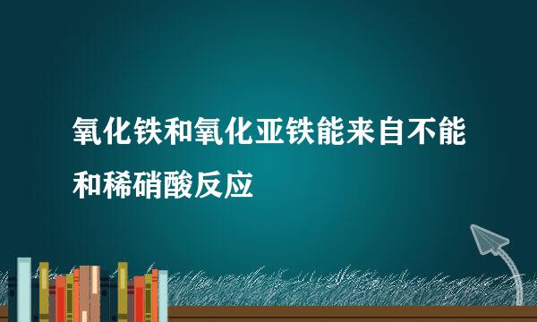 氧化铁和氧化亚铁能来自不能和稀硝酸反应