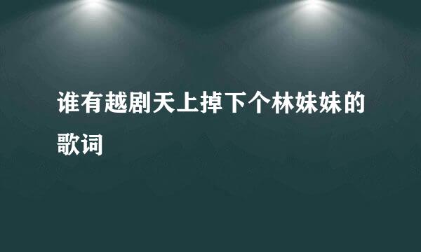 谁有越剧天上掉下个林妹妹的歌词