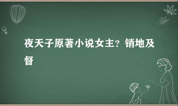 夜天子原著小说女主？销地及督