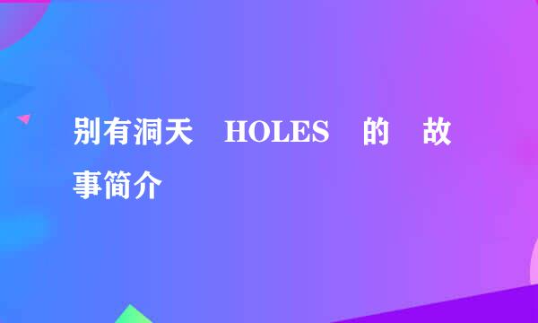 别有洞天 HOLES 的 故事简介