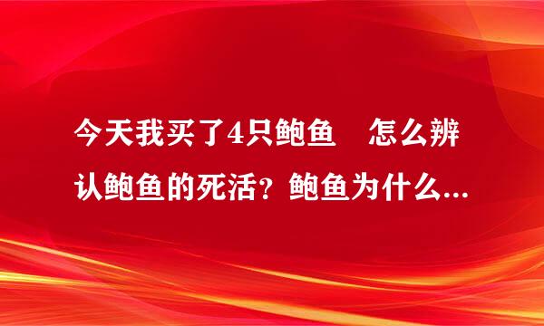 今天我买了4只鲍鱼 怎么辨认鲍鱼的死活？鲍鱼为什么老和同伴黏在一起怎么掰也掰不下来？鲍鱼怎么做才能味