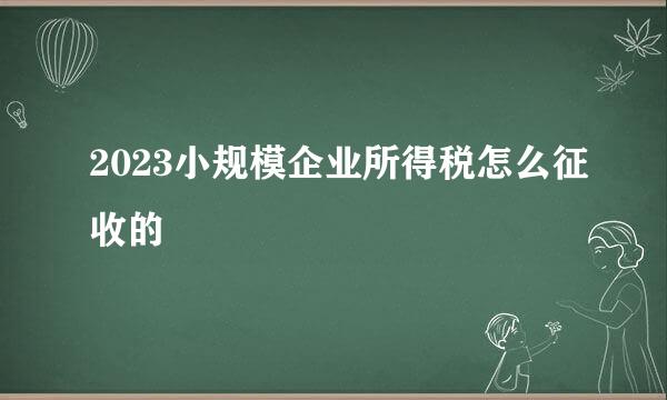 2023小规模企业所得税怎么征收的