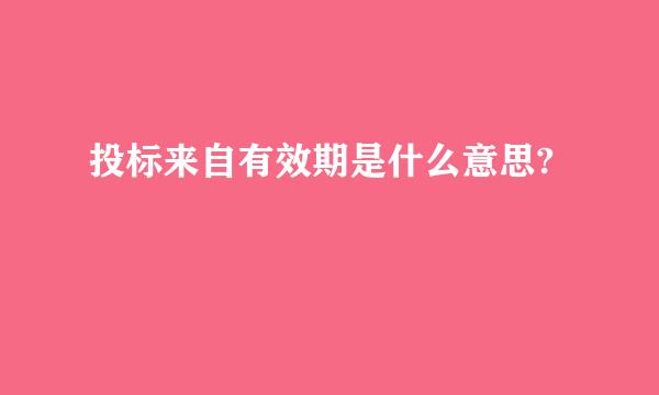 投标来自有效期是什么意思?