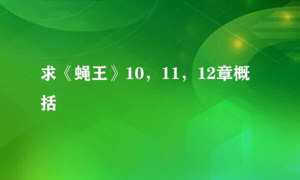 求《蝇王》10，11，12章概括