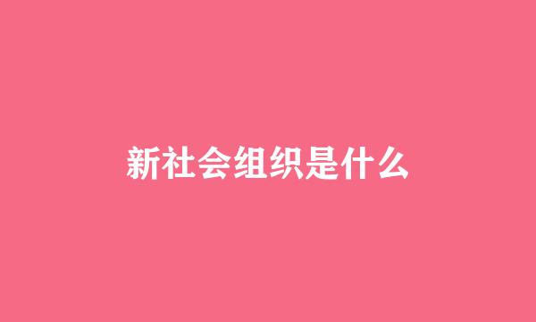 新社会组织是什么