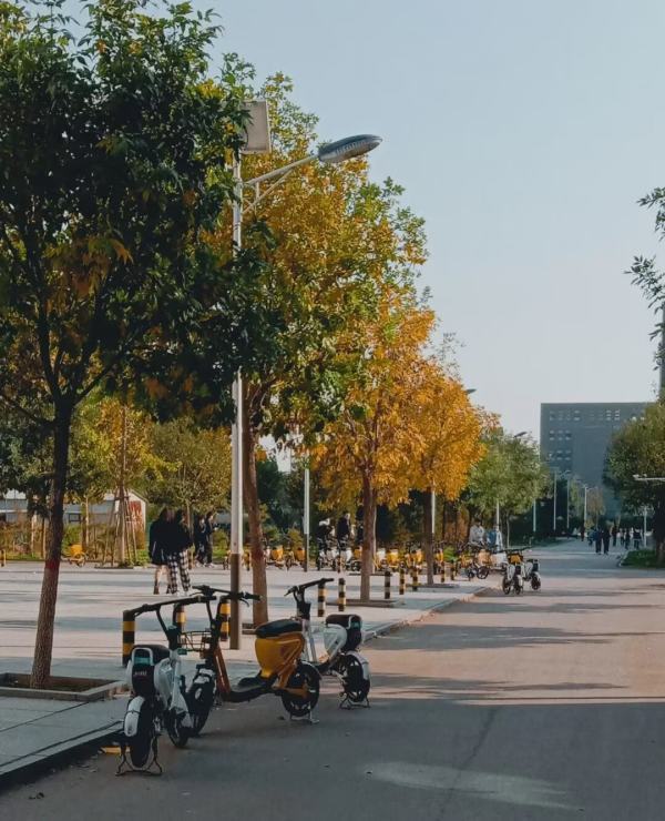 广大附中花都实验学校小学怎么样啊？