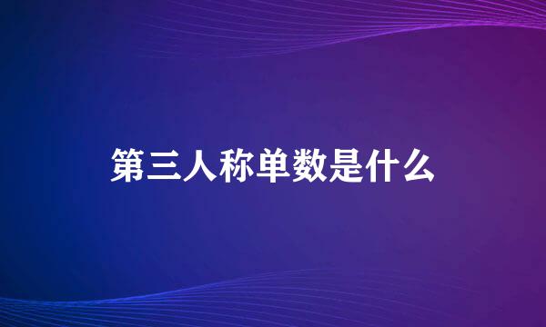 第三人称单数是什么