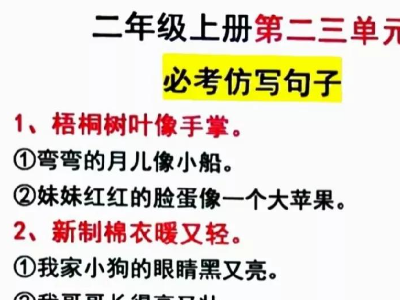 门前开着一大片五颜六色的鲜花仿照写