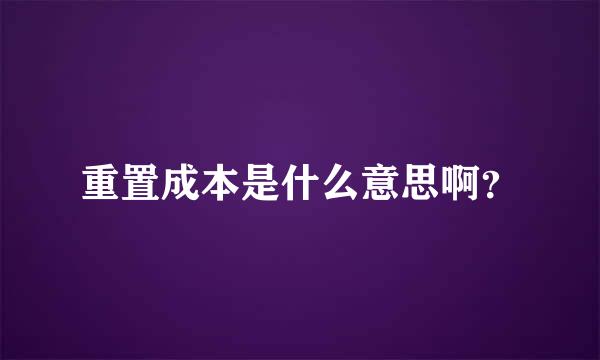 重置成本是什么意思啊？