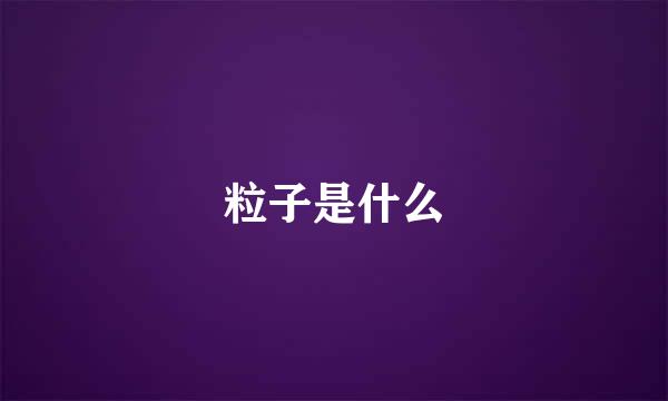 粒子是什么