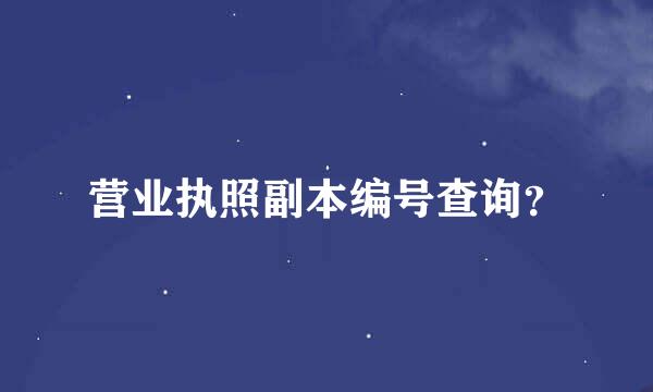 营业执照副本编号查询？