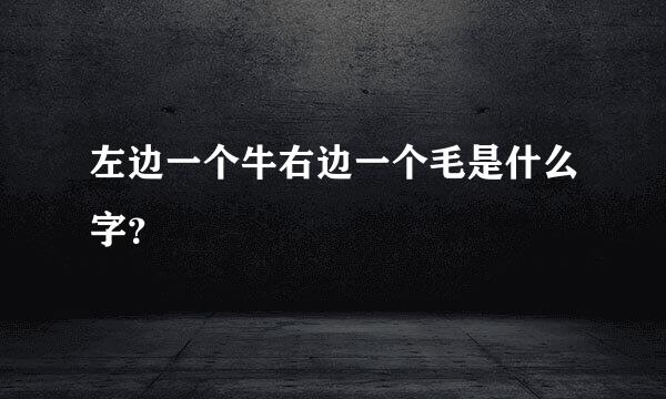 左边一个牛右边一个毛是什么字？