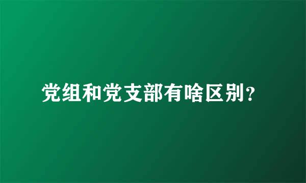 党组和党支部有啥区别？