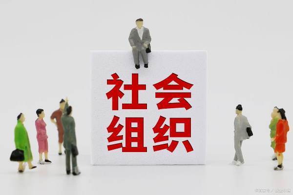 社区社会组织包括哪些