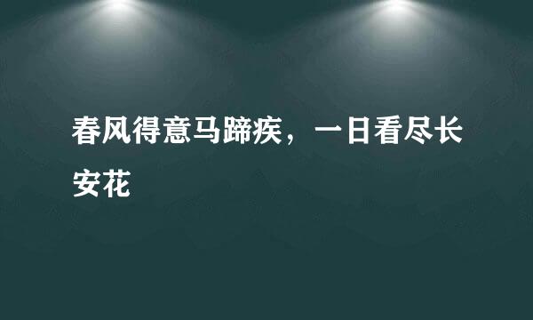 春风得意马蹄疾，一日看尽长安花