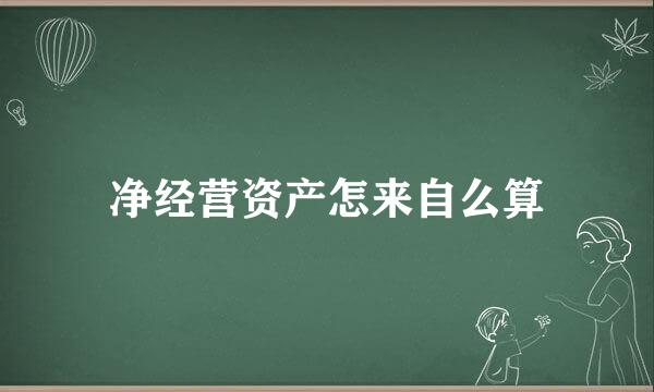 净经营资产怎来自么算