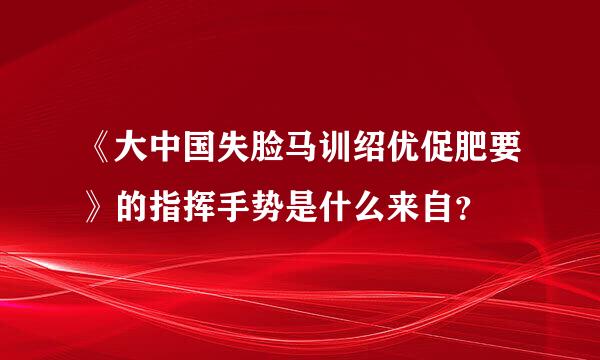 《大中国失脸马训绍优促肥要》的指挥手势是什么来自？