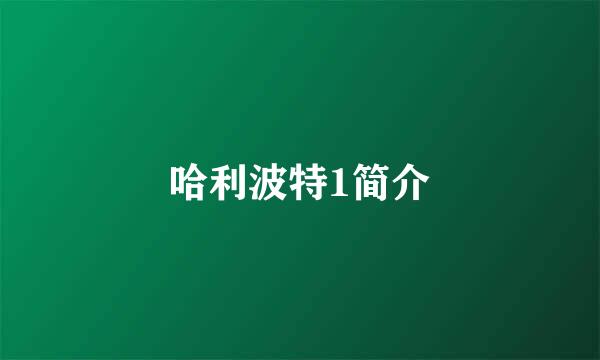 哈利波特1简介