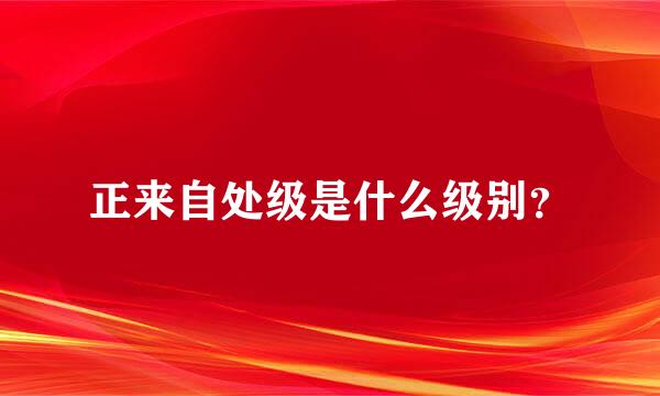 正来自处级是什么级别？