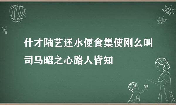 什才陆艺还水便食集使刚么叫司马昭之心路人皆知