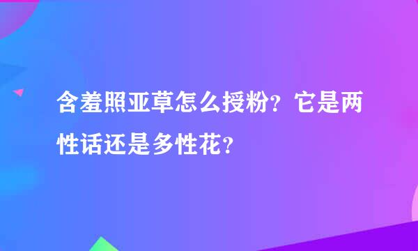 含羞照亚草怎么授粉？它是两性话还是多性花？