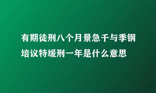 有期徒刑八个月景急千与季钢培议特缓刑一年是什么意思