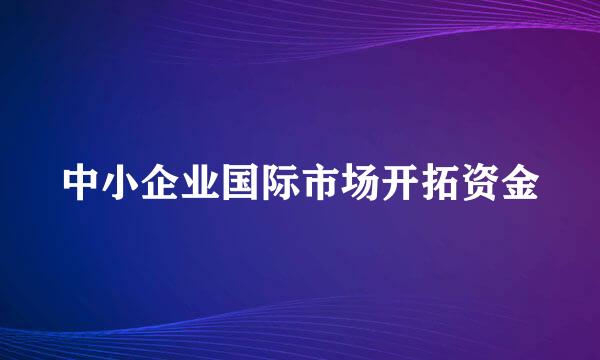 中小企业国际市场开拓资金