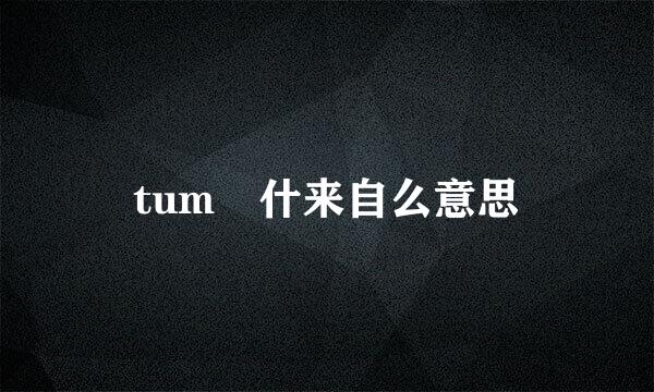 tum 什来自么意思