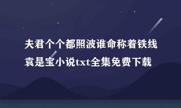 夫君个个都照波谁命称着铁线袁是宝小说txt全集免费下载