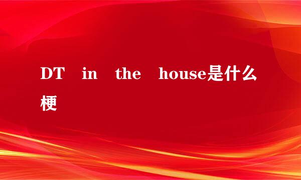 DT in the house是什么梗