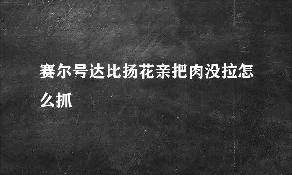 赛尔号达比扬花亲把肉没拉怎么抓