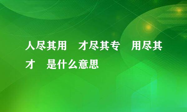 人尽其用 才尽其专 用尽其才 是什么意思