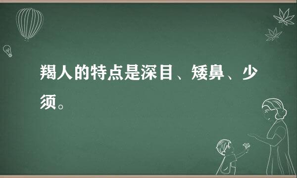 羯人的特点是深目、矮鼻、少须。