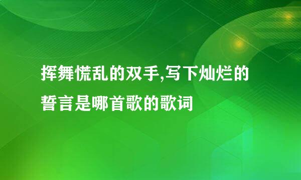 挥舞慌乱的双手,写下灿烂的誓言是哪首歌的歌词