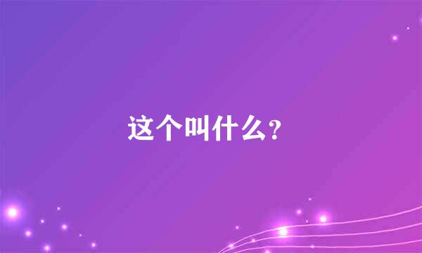 这个叫什么？