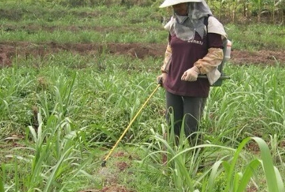 除草剂对人的危害有哪些？