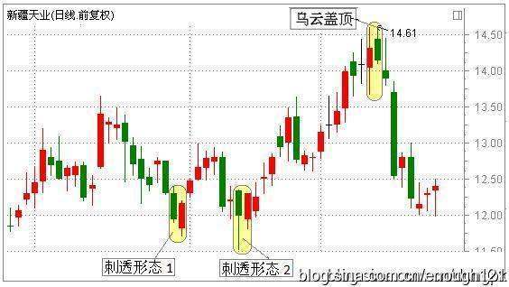 刺洲雷黄裂科透形态的定义