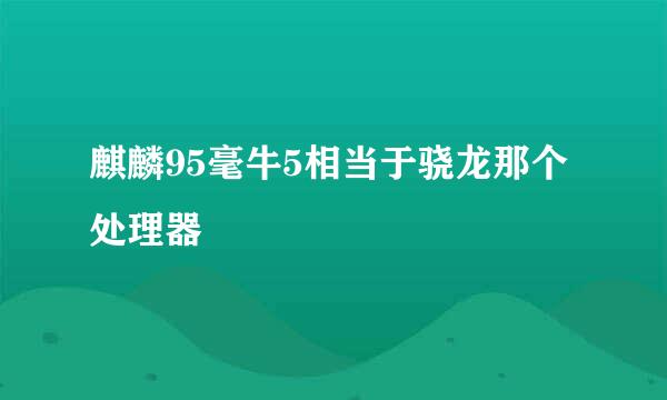 麒麟95毫牛5相当于骁龙那个处理器