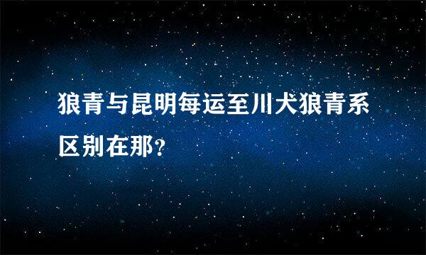 狼青与昆明每运至川犬狼青系区别在那？