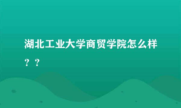 湖北工业大学商贸学院怎么样？？