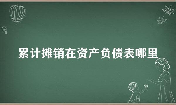 累计摊销在资产负债表哪里