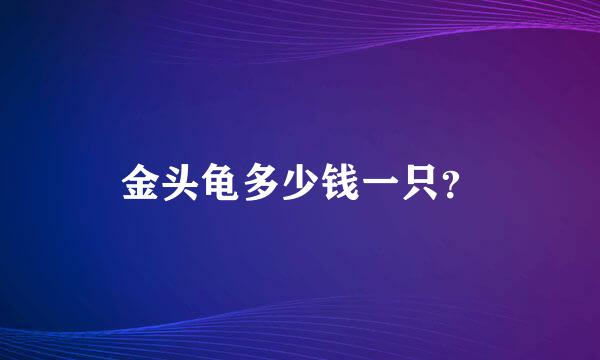 金头龟多少钱一只？