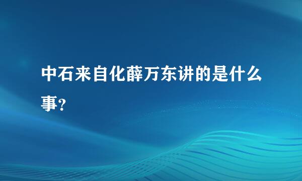 中石来自化薛万东讲的是什么事？