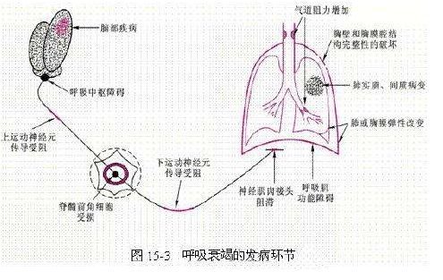 呼吸衰竭名词解释